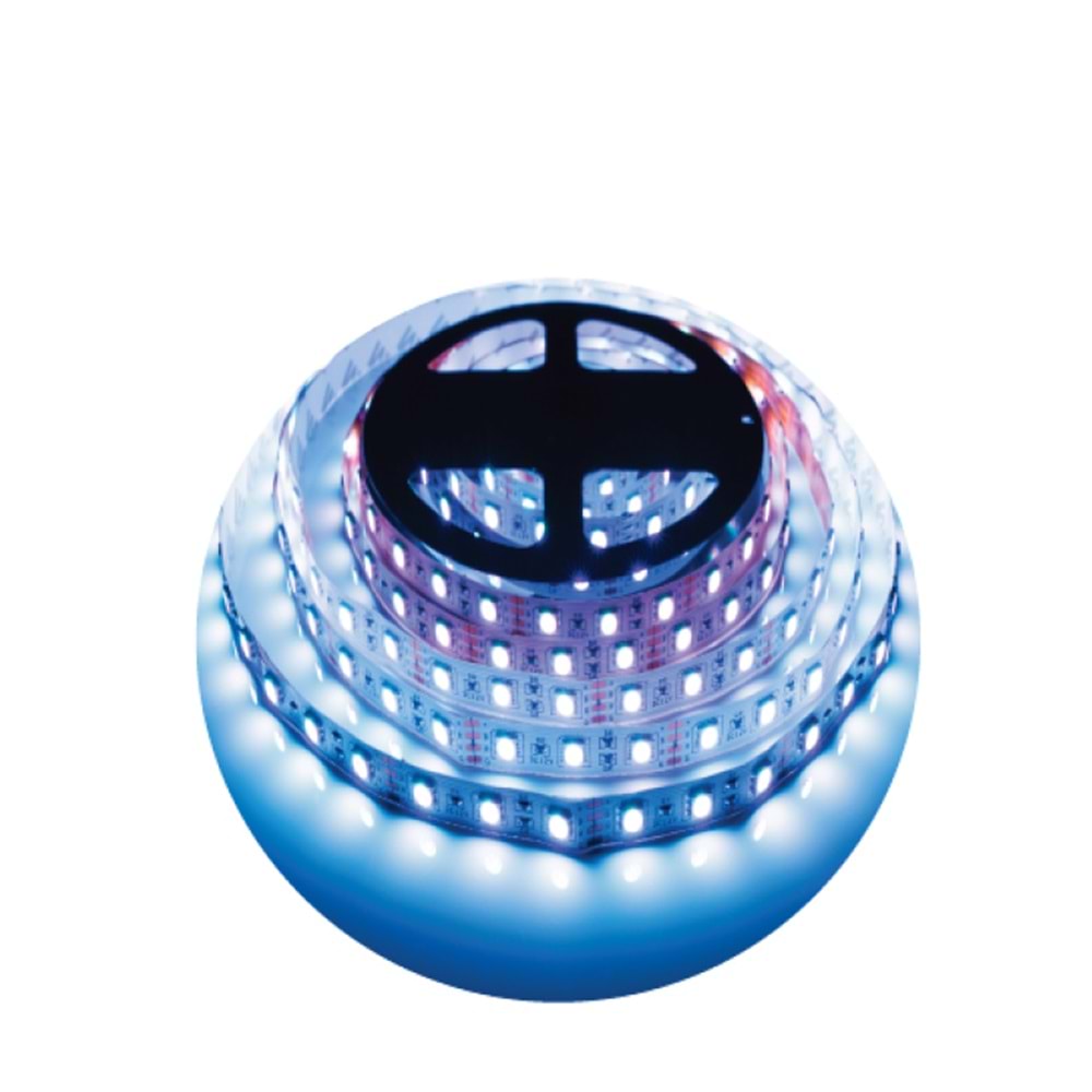 12V 3535 60 LED ŞERİT MAVİ