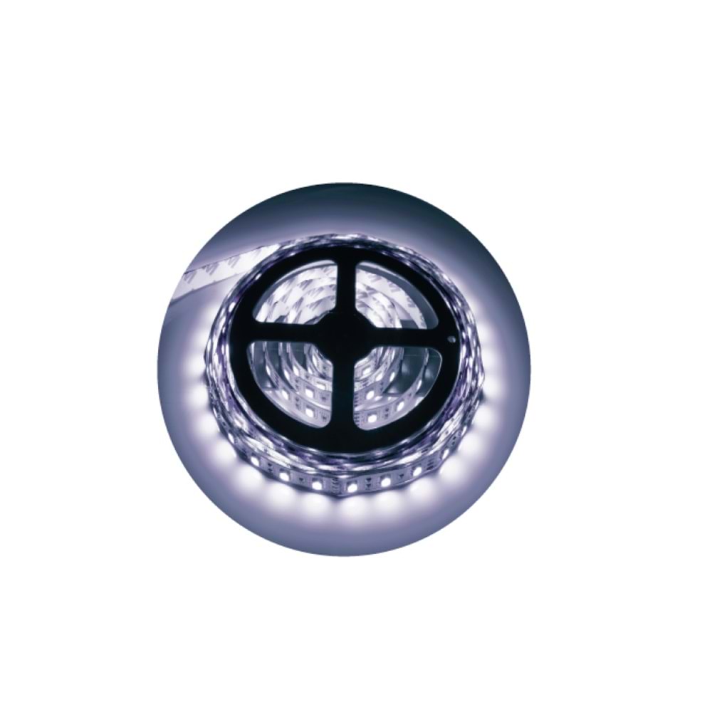 12V 4040 60 LED ŞERİT 6500K