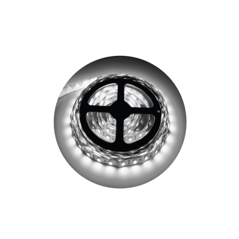 12V 4040 60 LED ŞERİT 4000K