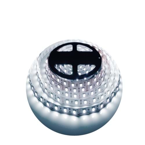 12V 3535 60 LED ŞERİT 6500K