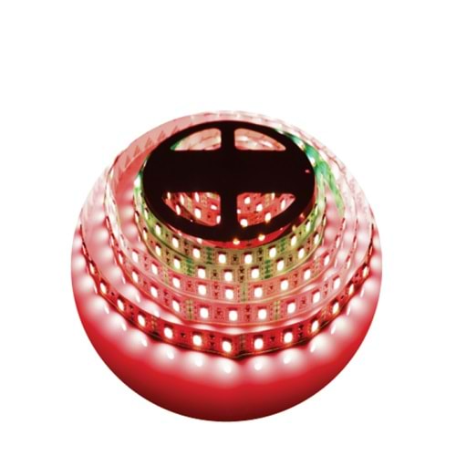 12V 3535 60 LED ŞERİT KIRMIZI