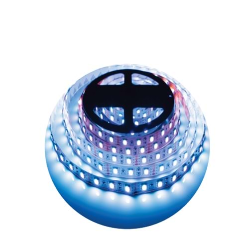12V 3535 60 LED ŞERİT MAVİ