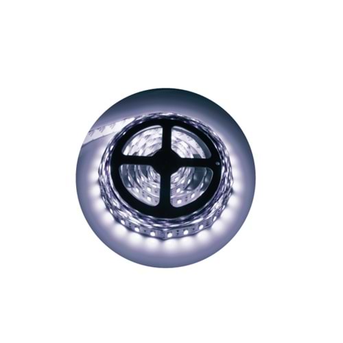 12V 4040 60 LED ŞERİT 6500K