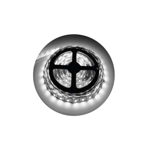 12V 4040 60 LED ŞERİT 4000K